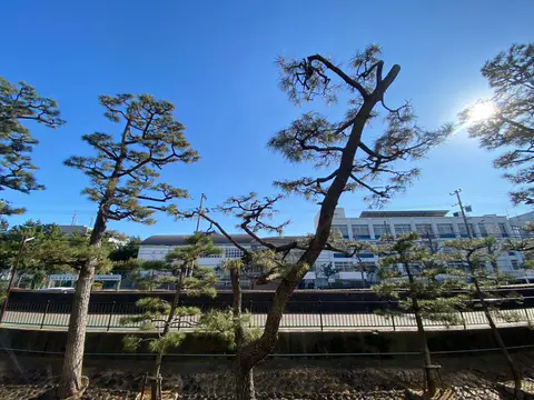 Condo in Ashiya, view 2