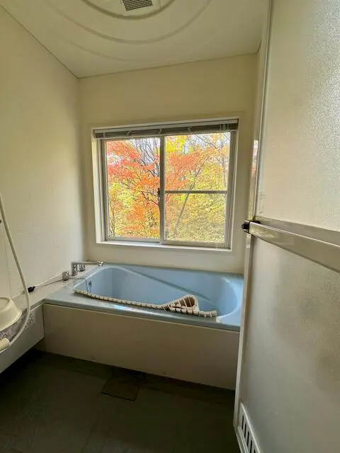 House in Hakuba, view 3