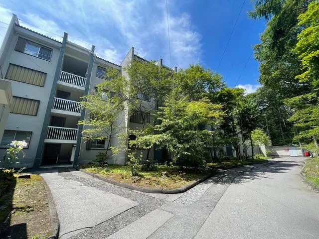 Condo in Karuizawa