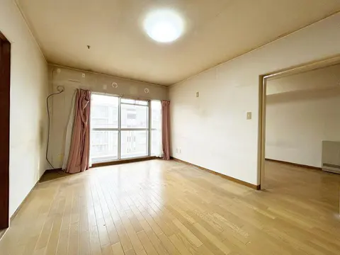 Condo in Kashiwa, view 2