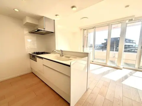 Condo in Kawasaki, view 4