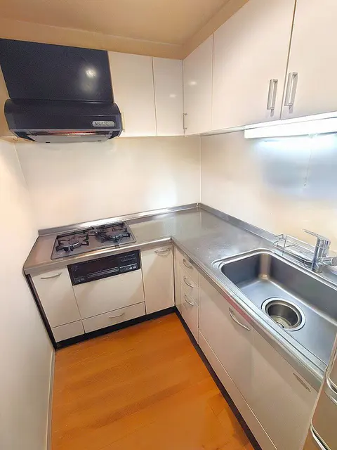 Condo in Kawasaki, view 2