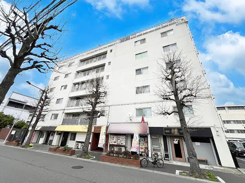Condo in Matsudo, view 2