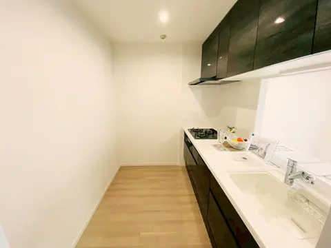 Condo in Nagoya, view 4