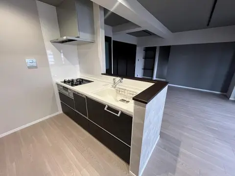 Condo in Osaka City, view 4