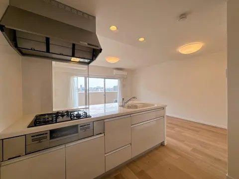 Condo in Fukuoka City, view 3