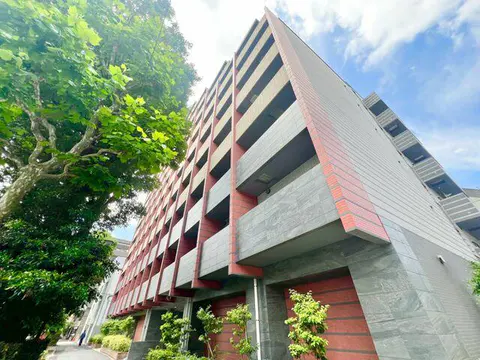 Condo in Suginami, view 2