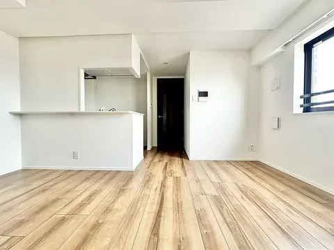 Condo in Sumida, view 3