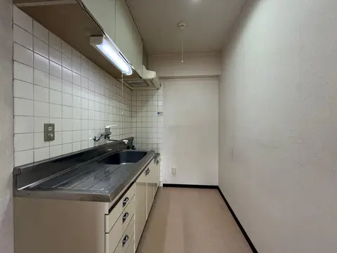 Condo in Sapporo, view 4