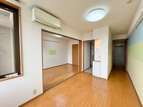 Condo in Setagaya, view 2