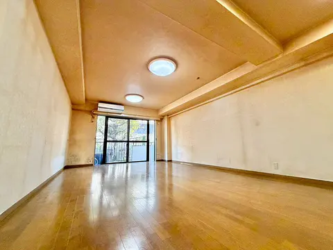 Condo in Shibuya, view 4