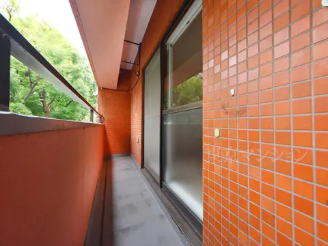 Condo in Shinjuku, view 2