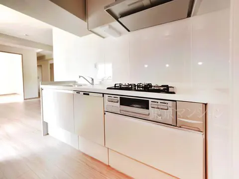 Condo in Shinjuku, view 4