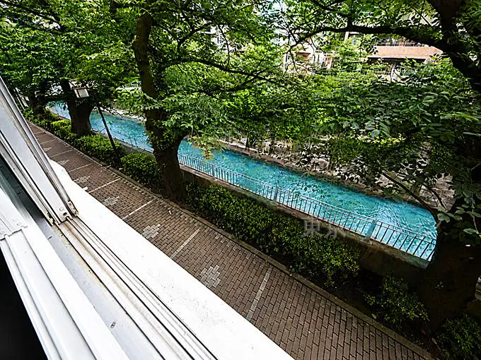 Condo in Shinjuku