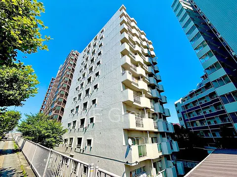 Condo in Sumida, view 2
