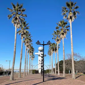 Rows of palm trees line the walk to a public statue, Kisarazu, Chiba.