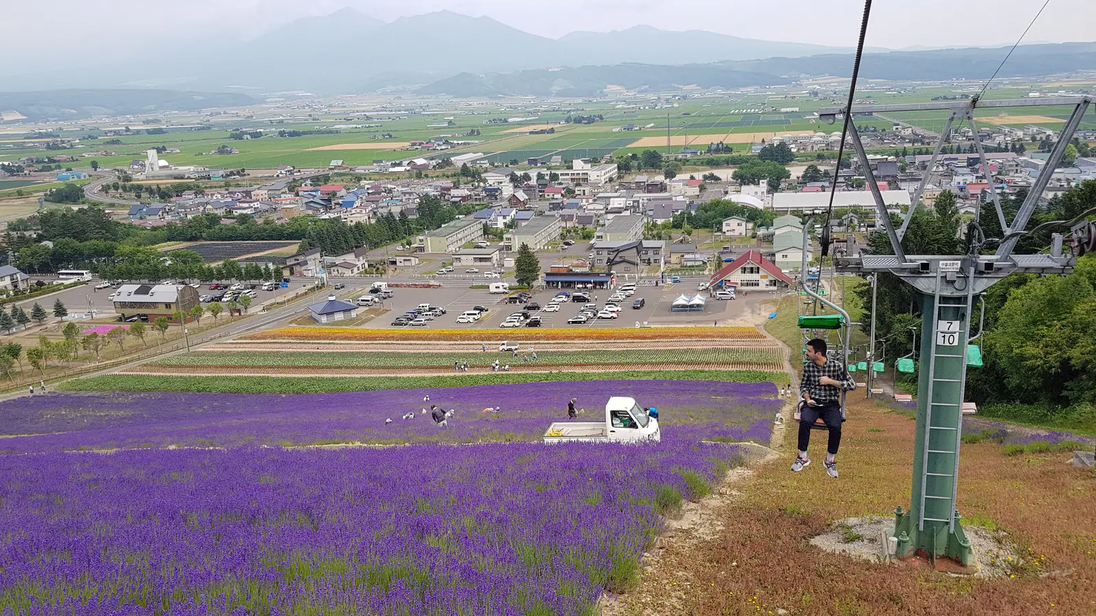 Lavender fields in bloom near Furano, Hokkaido