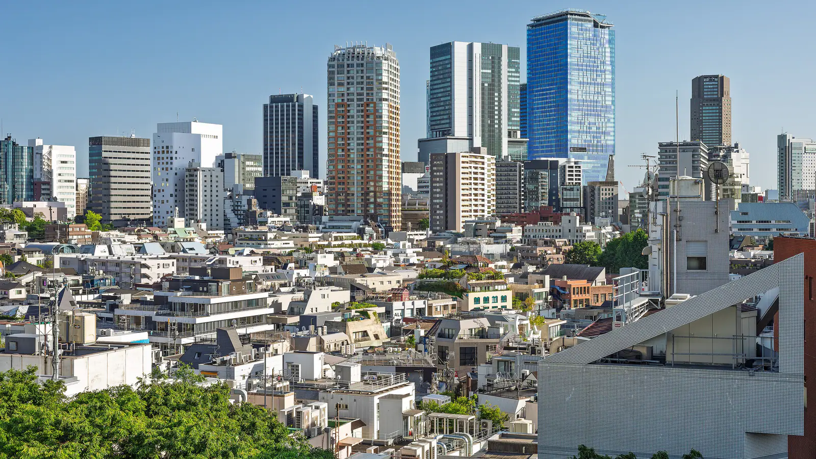 Shibuya and Harajuku skyline in central Tokyo