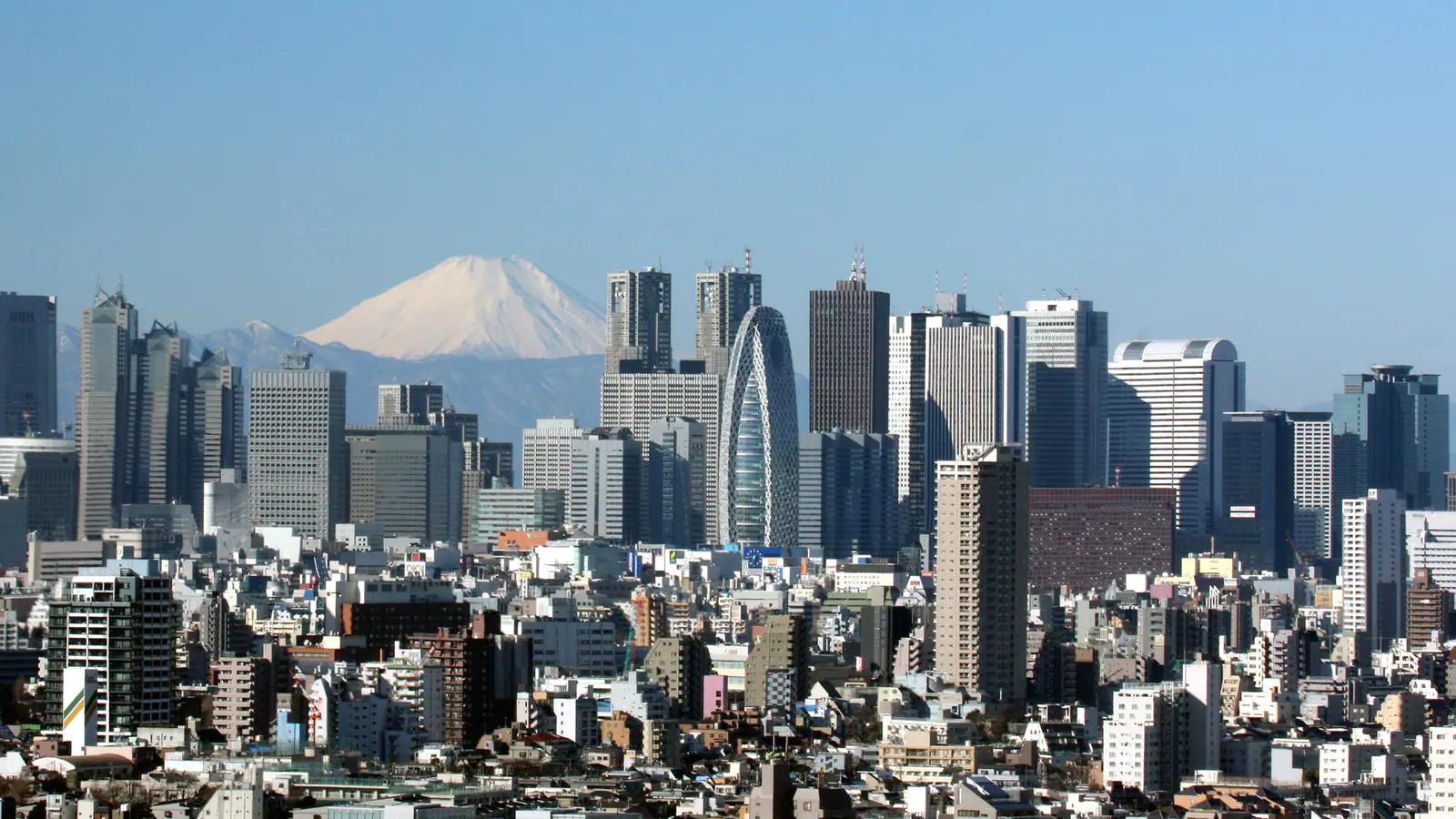 Shinjuku skyscrapers in central Tokyo