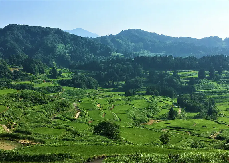Mist drifting over the Hoshitoge rice terraces in Tokamachi, Niigata Prefecture