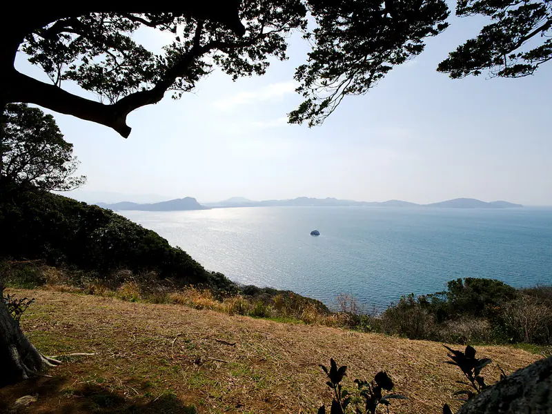 Seasonal flowers and Hakata Bay views on Nokonoshima island, Fukuoka