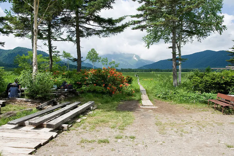 The highland marsh and boardwalks of Oze National Park, Gunma