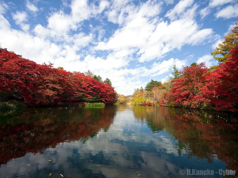Autumn colors reflected in Kumoba Pond at Karuizawa, Nagano