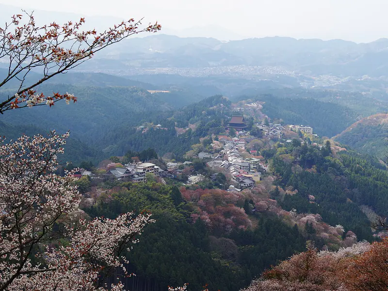 Cherry blossoms covering the slopes of Mount Yoshino, southern Nara