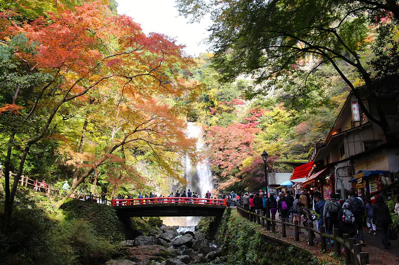 The Minoo waterfall and forested valley in northern Osaka